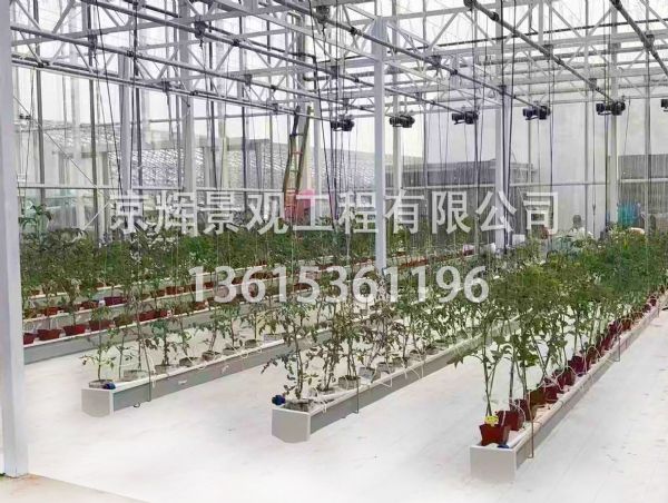 可升降错位悬浮桥载培