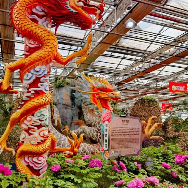 内蒙古通辽和佑首届农业嘉年华