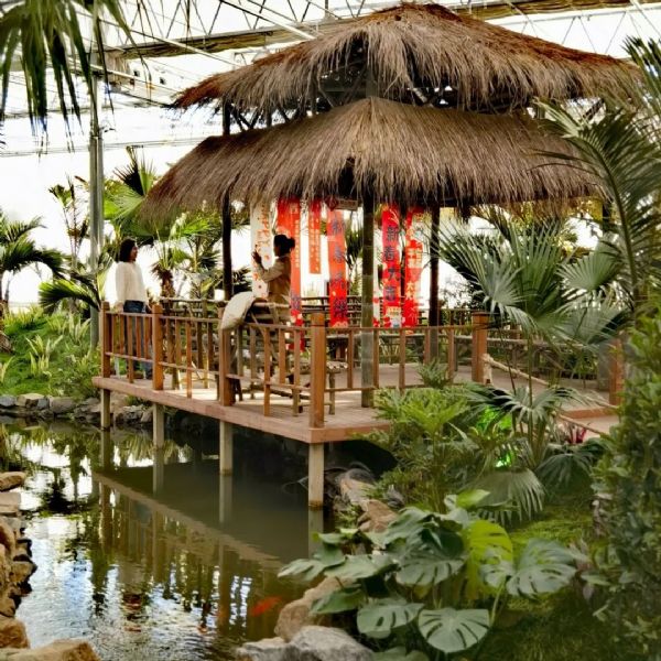 内蒙古通辽和佑首届农业嘉年华