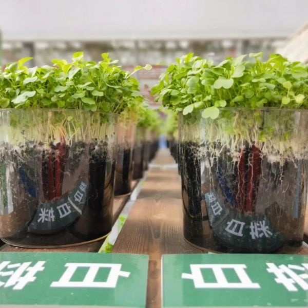 内蒙古通辽和佑首届农业嘉年华