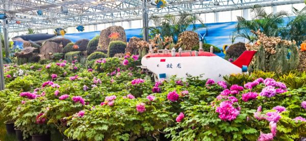 内蒙古通辽和佑首届农业嘉年华