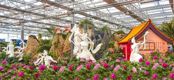 内蒙古通辽和佑首届农业嘉年华