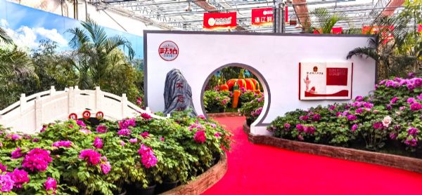 内蒙古通辽和佑首届农业嘉年华