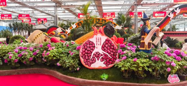 内蒙古通辽和佑首届农业嘉年华