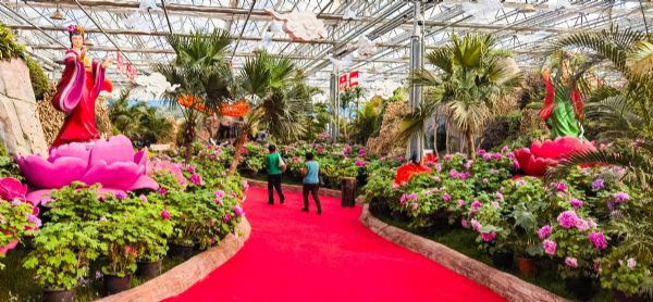 内蒙古通辽和佑首届农业嘉年华