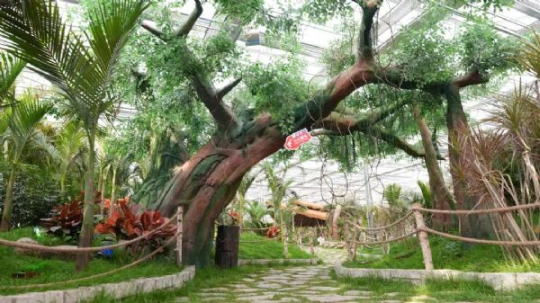 内蒙古通辽和佑首届农业嘉年华