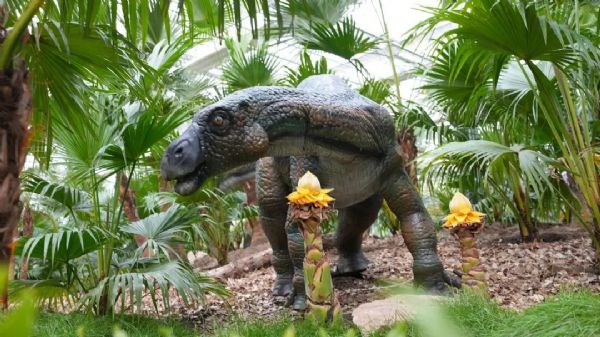 内蒙古通辽和佑首届农业嘉年华