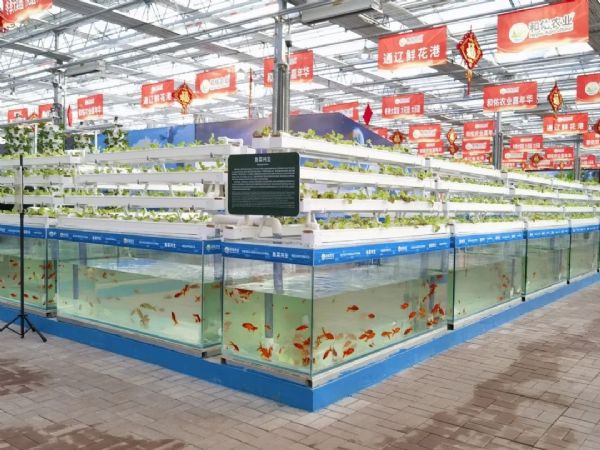 内蒙古通辽和佑首届农业嘉年华