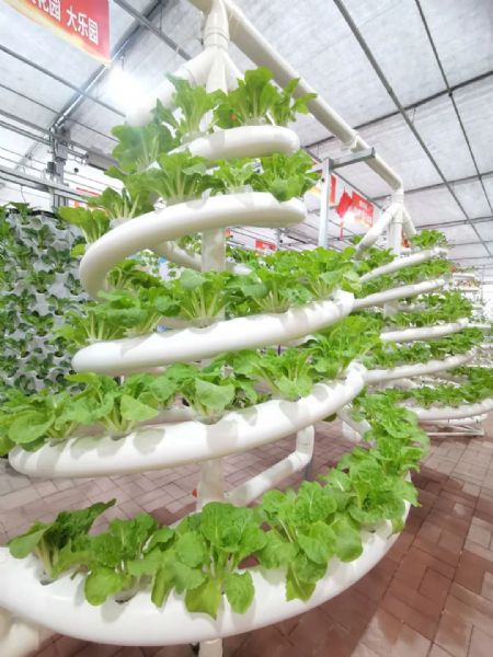 内蒙古通辽和佑首届农业嘉年华