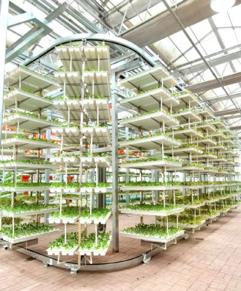 内蒙古通辽和佑首届农业嘉年华