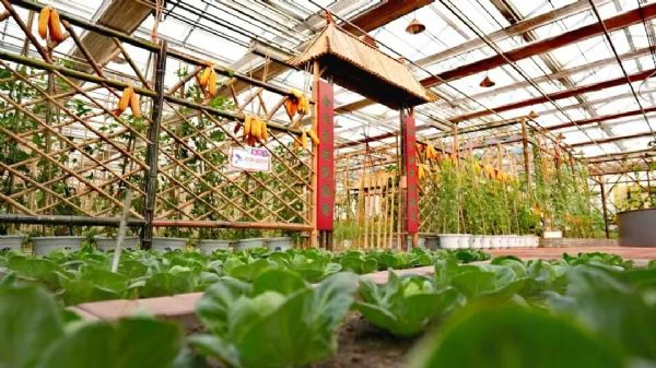 内蒙古通辽和佑首届农业嘉年华