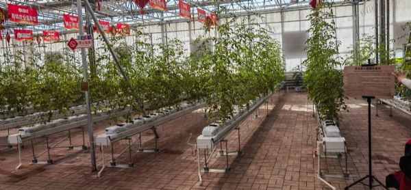 内蒙古通辽和佑首届农业嘉年华